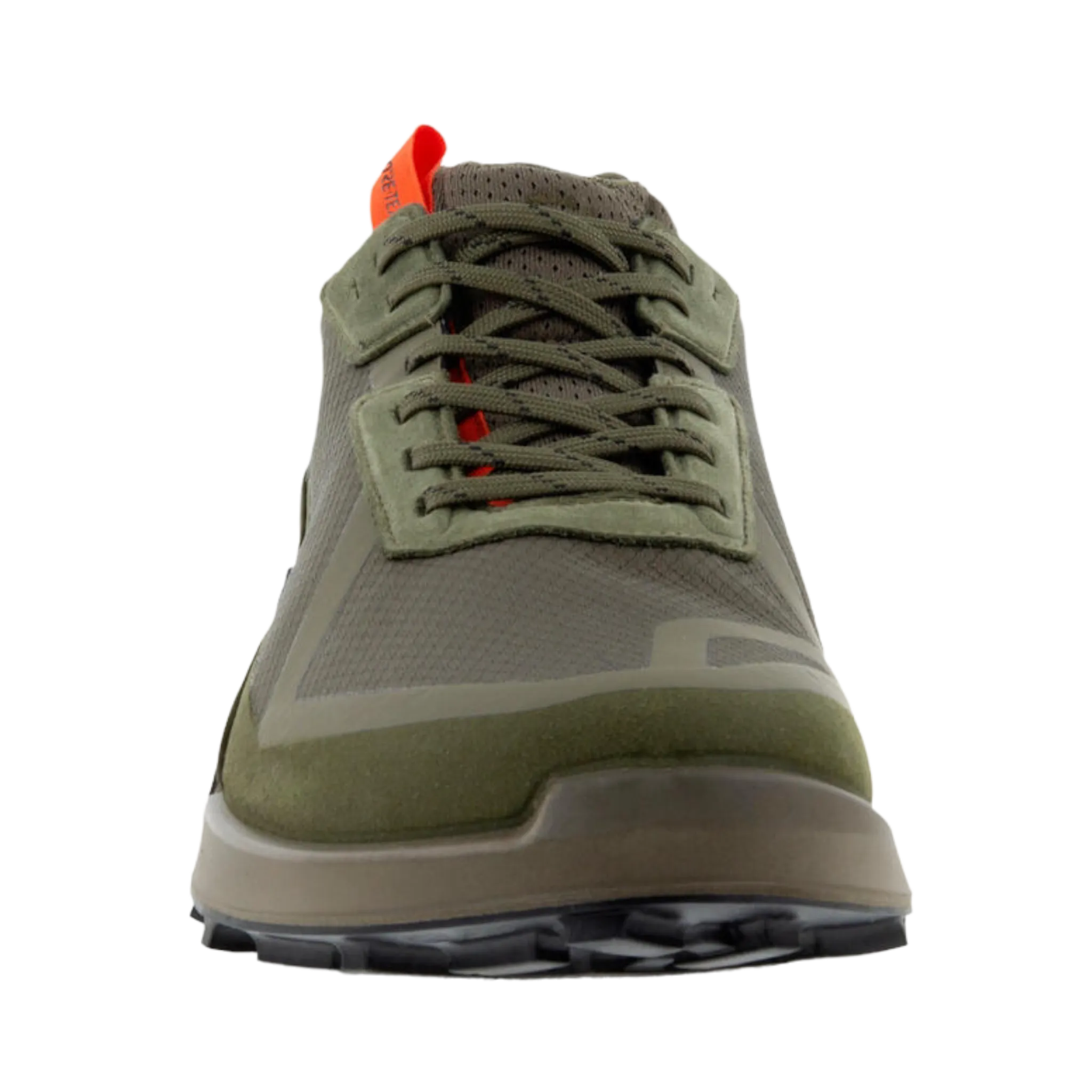 Biom 2.1 GTX Low