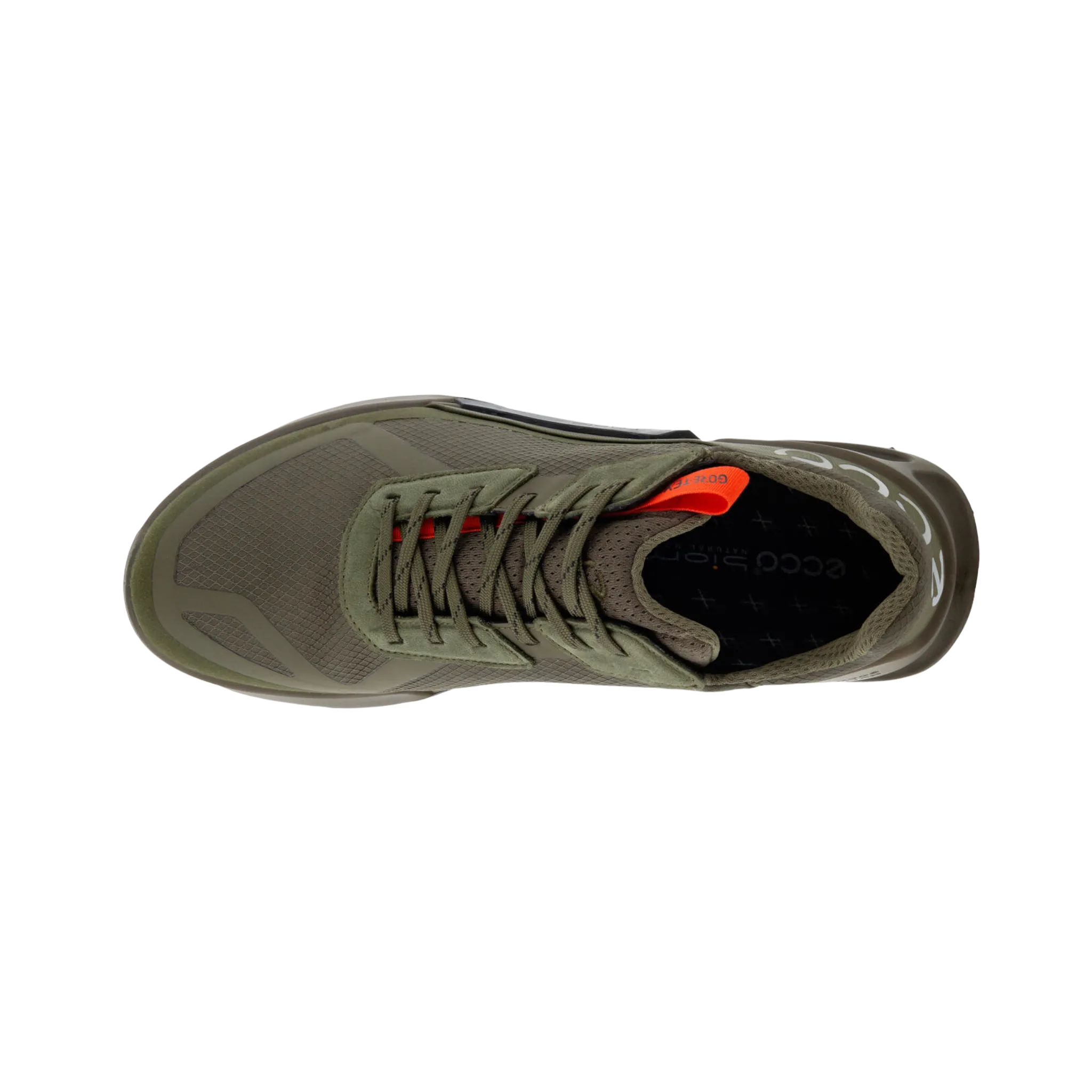 Biom 2.1 GTX Low